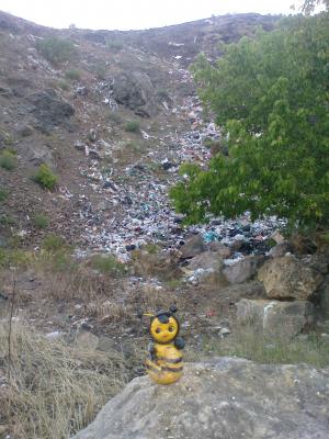 Прикрепленное изображение: DSC00412.JPG